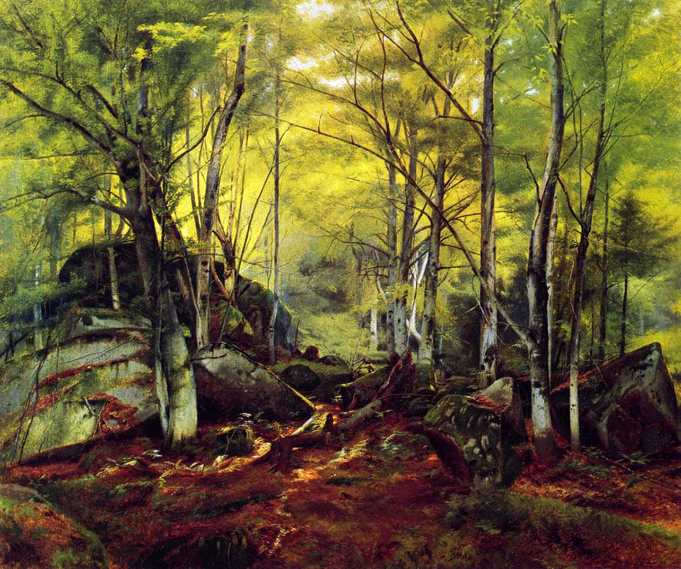 Woodland Scene